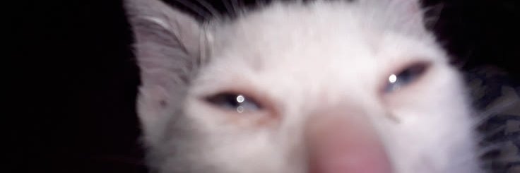 lnkswrds's profile banner image