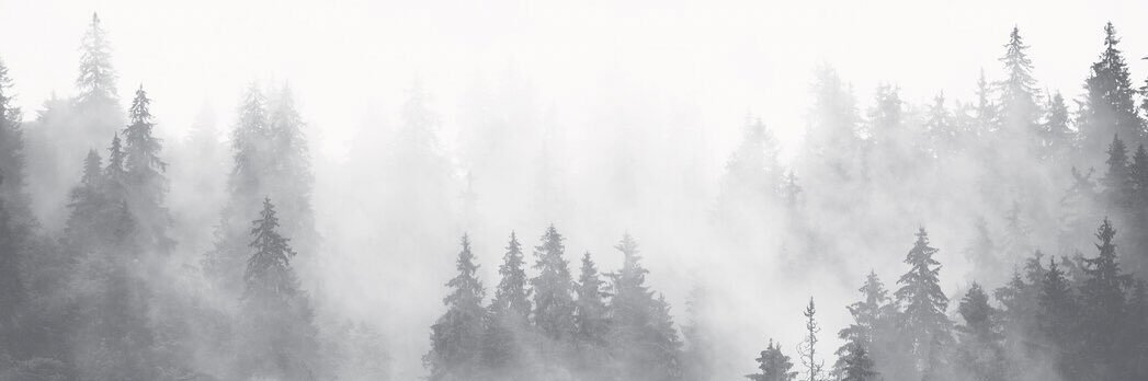 lMonsterl69's profile banner image