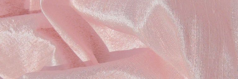 AriEgotistical's profile banner image