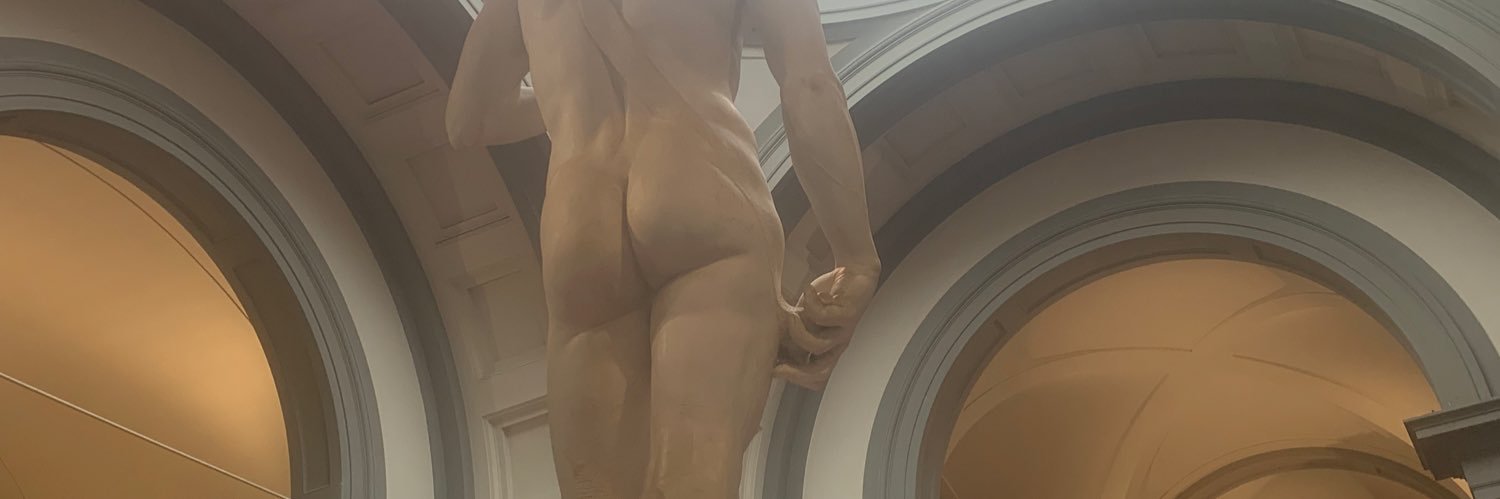 aryennaris's profile banner image
