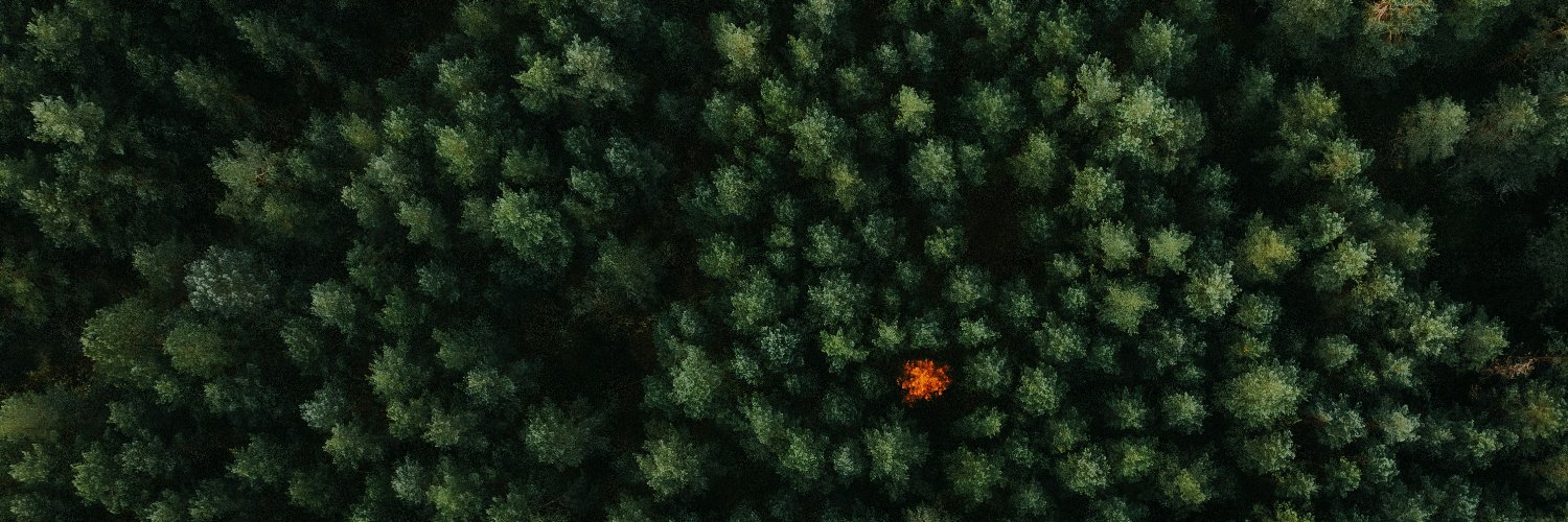 mgreig's profile banner image