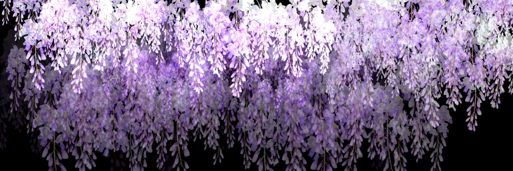 segmenterin's profile banner image