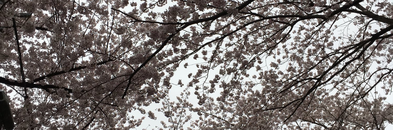 petitavocado's profile banner image