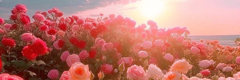 NJDReeves's profile banner image