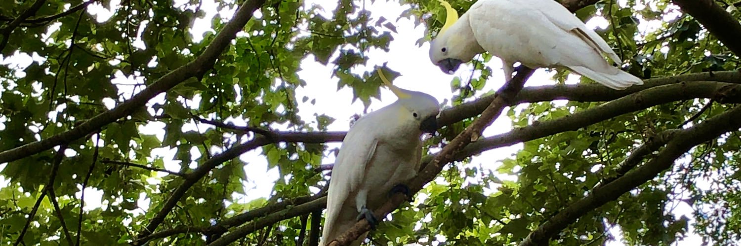 Robyn Horan 💉x 7 and, so far, NOVID banner