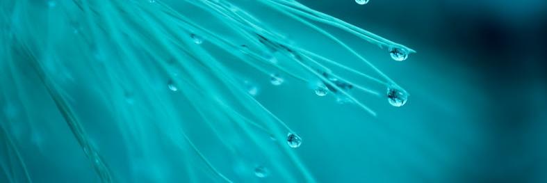 Agathe CORIOLI banner