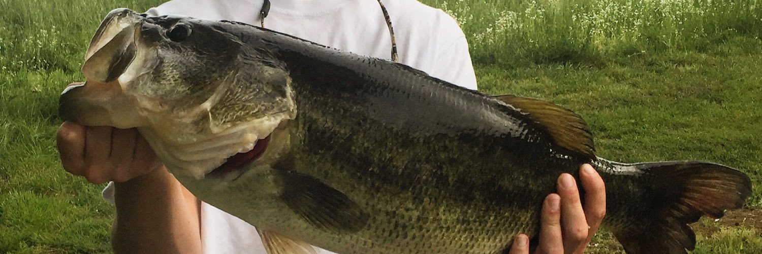 WhitMauney's profile banner image