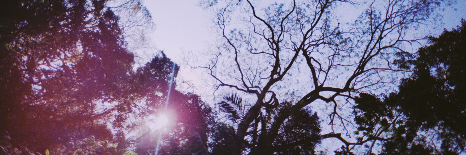 LialRebeca's profile banner image