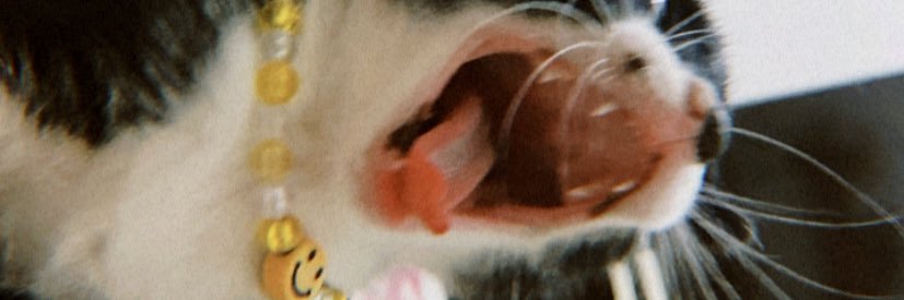 psicobrendaa's profile banner image