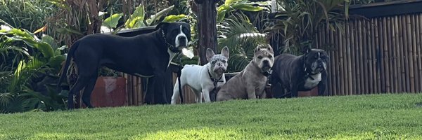 bretmanrock Profile Banner