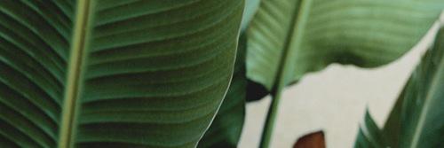 drpousset's profile banner image