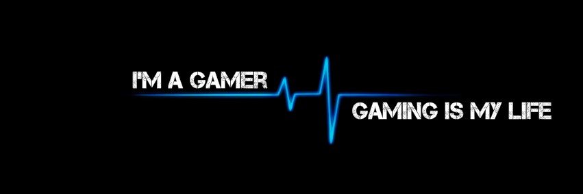 Bulldogg Gaming banner