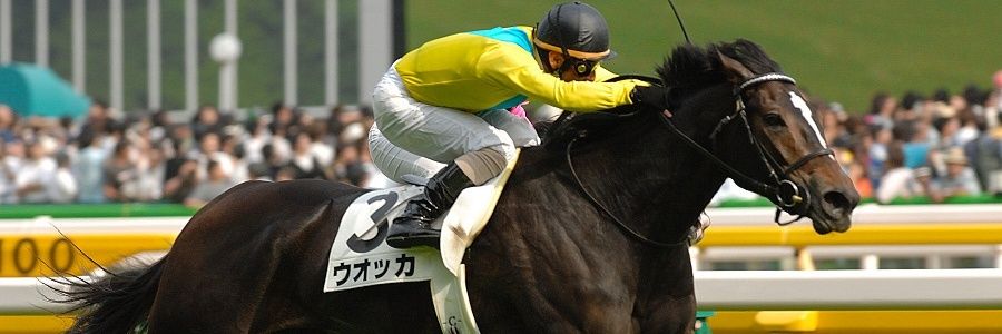 Yu_mami3827's profile banner image