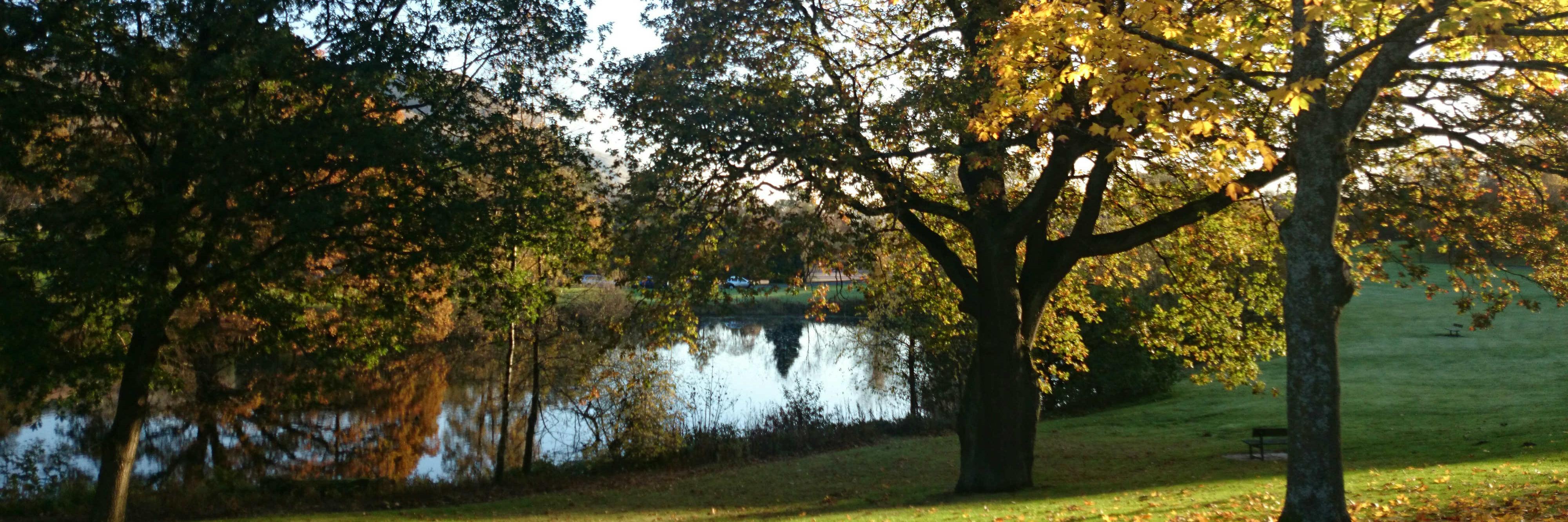 Liam Spillane banner