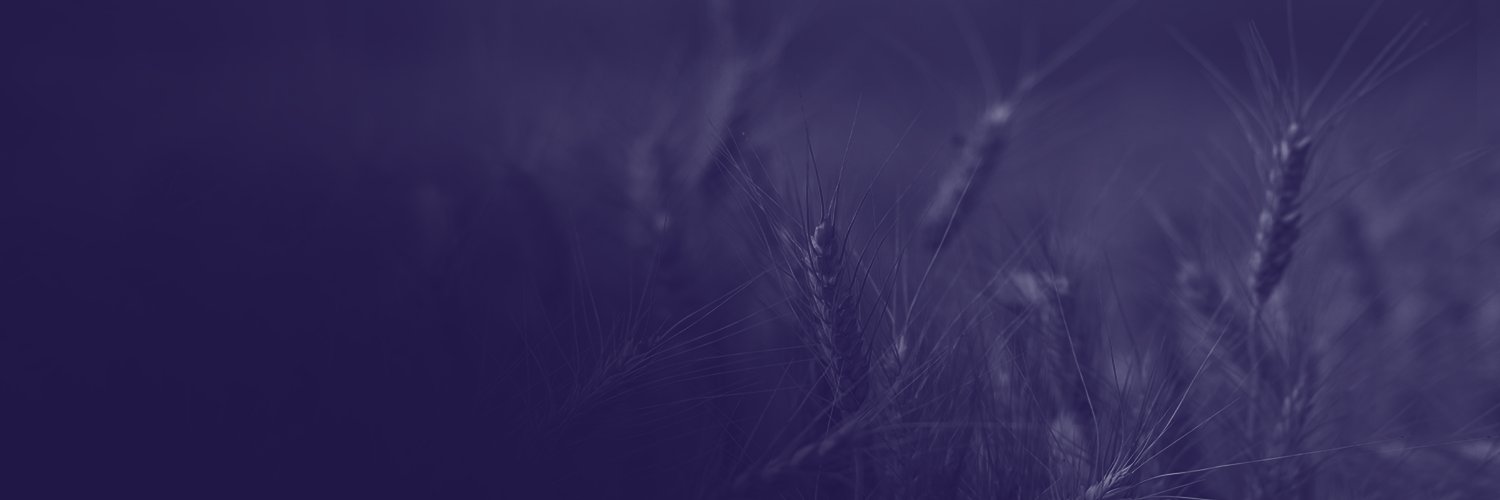 NASEM_Ag's profile banner image
