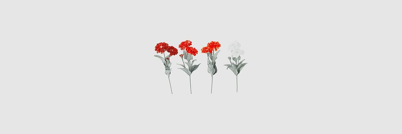 wildlanded's profile banner image