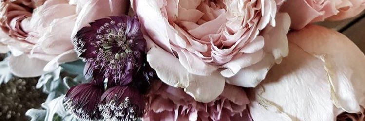 sofimirandah's profile banner image