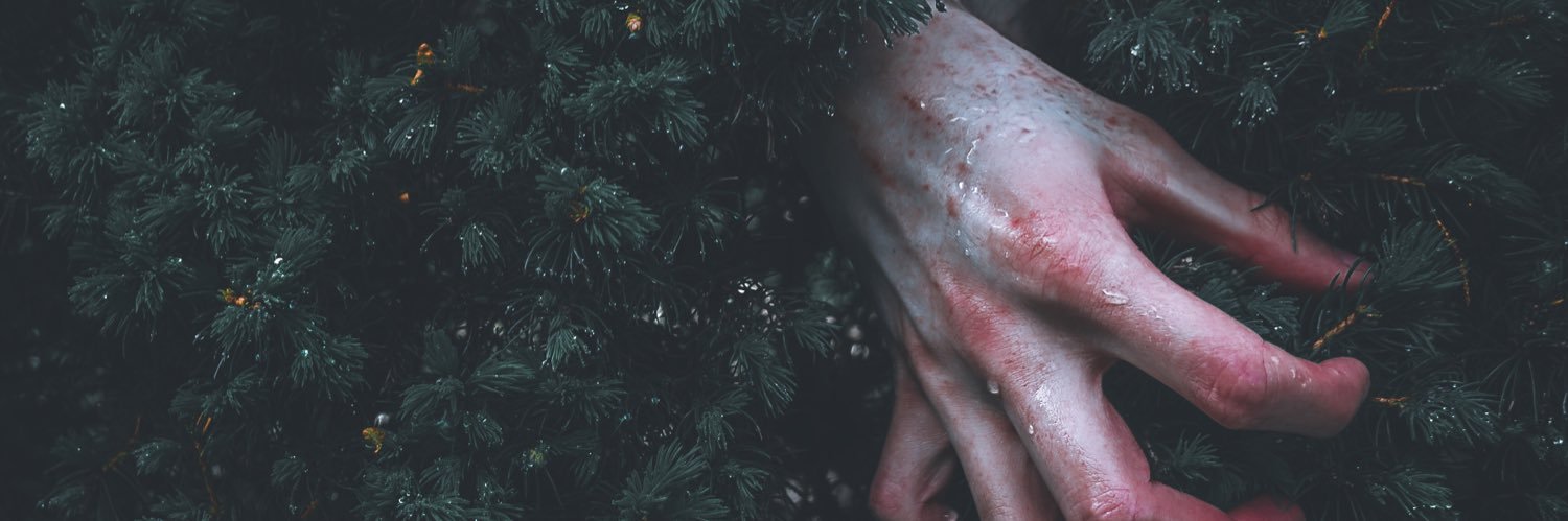 ledonis4's profile banner image