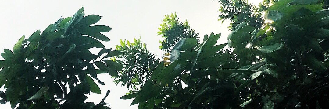 michelleklinht's profile banner image