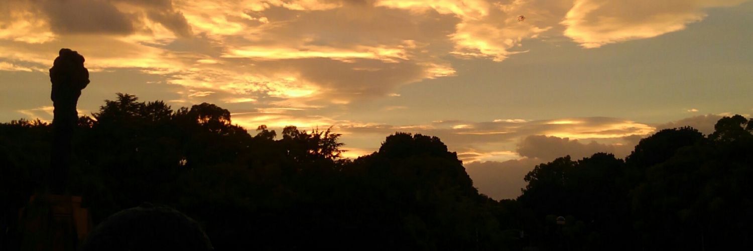 I_l_MuD's profile banner image