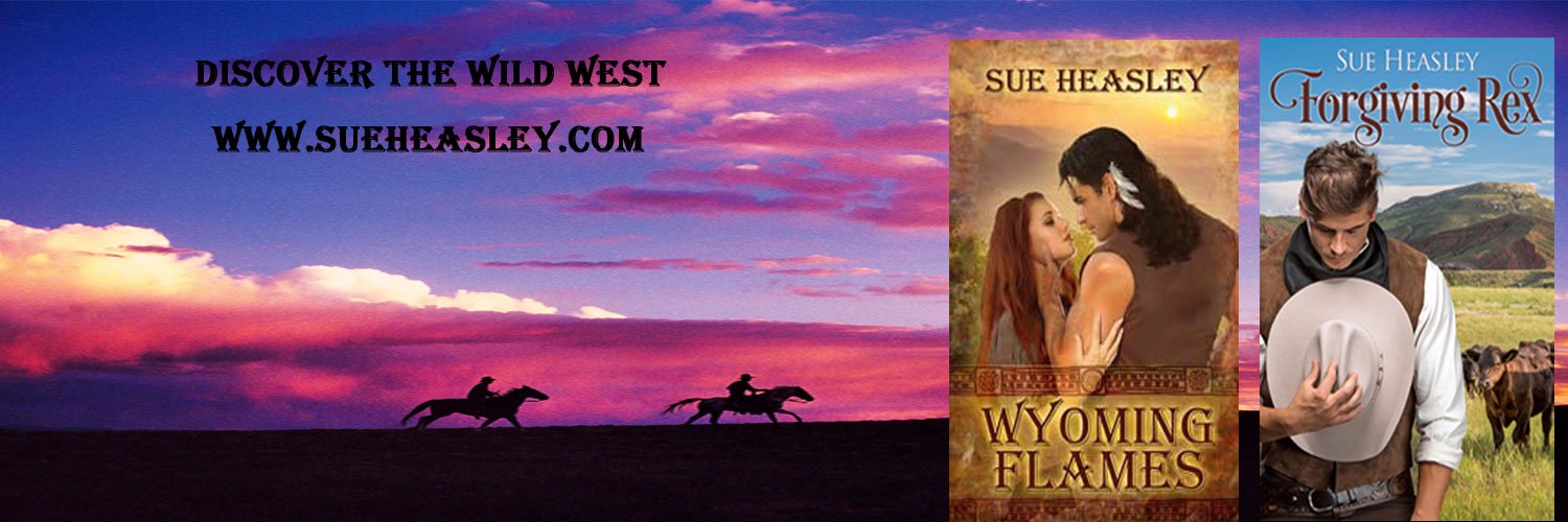 sue_heasley's profile banner image