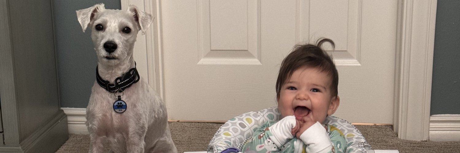 Raul Campillo banner