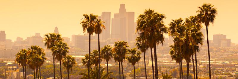 southbaysbc's profile banner image