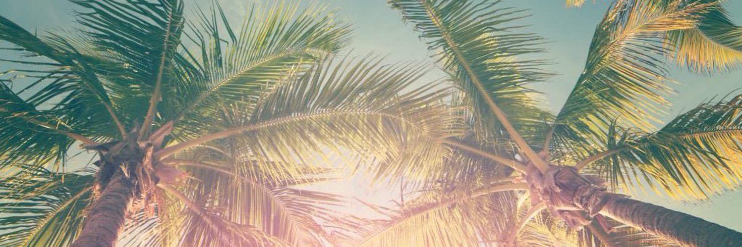 Patryciaswingsa's profile banner image