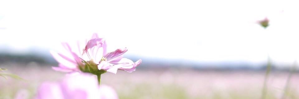 JMaugun's profile banner image