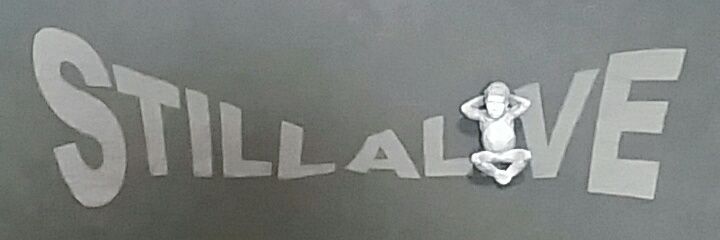 STILL_ALIVE_730's profile banner image