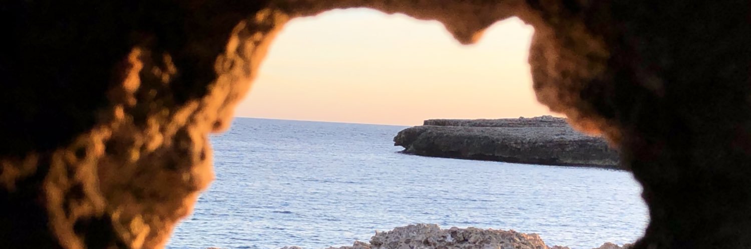 Joana Maria Julià banner