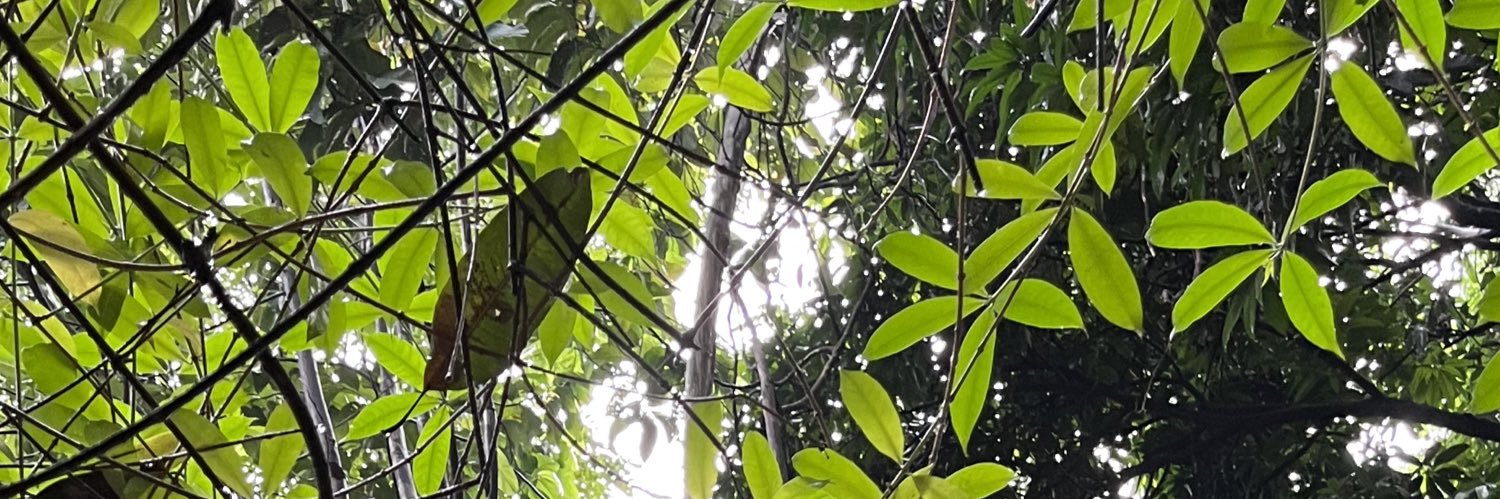 hannahcelinaaa's profile banner image