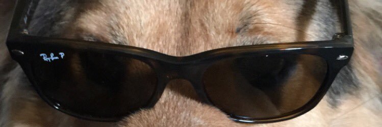HelmZachary's profile banner image