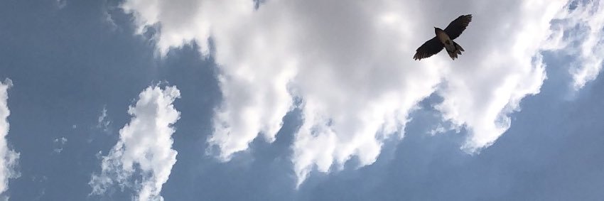 rooo7f's profile banner image