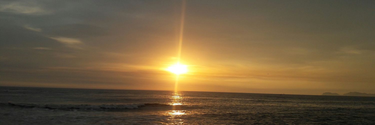 lesslyann20's profile banner image