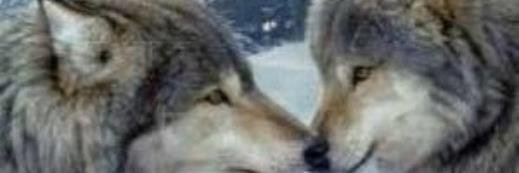 JehanBart's profile banner image