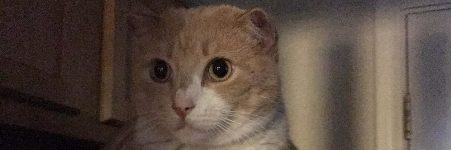 Deplorable Acro banner