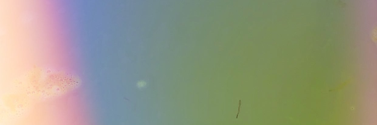 memiemw's profile banner image