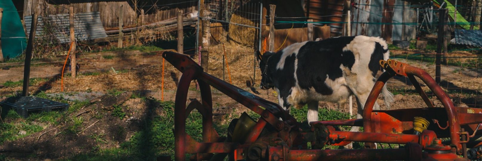 achkodim's profile banner image