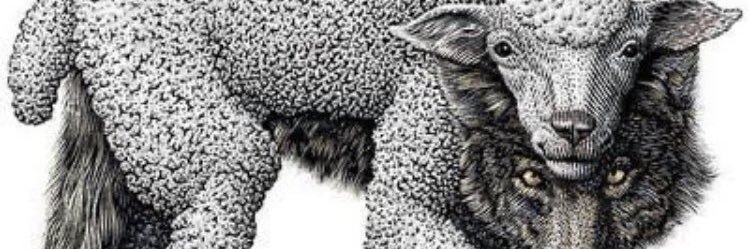 Aceleleco's profile banner image