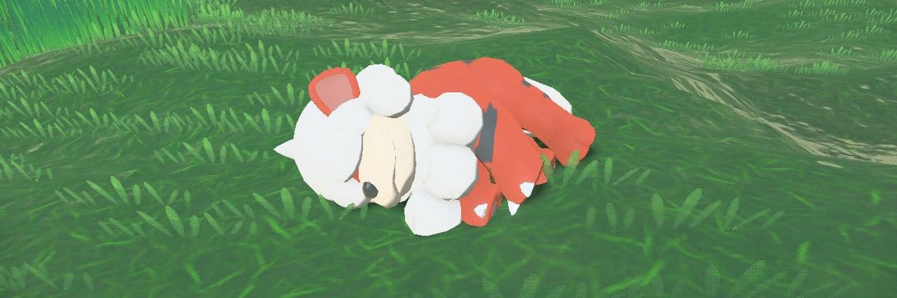 trainertayla's profile banner image