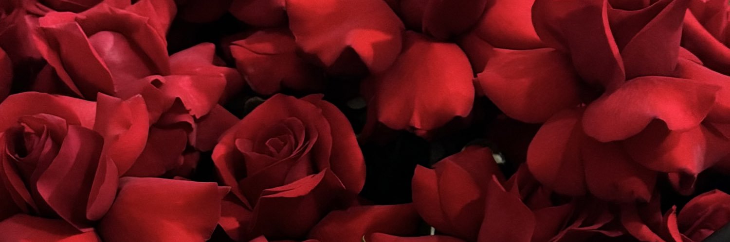 dindajsmn's profile banner image