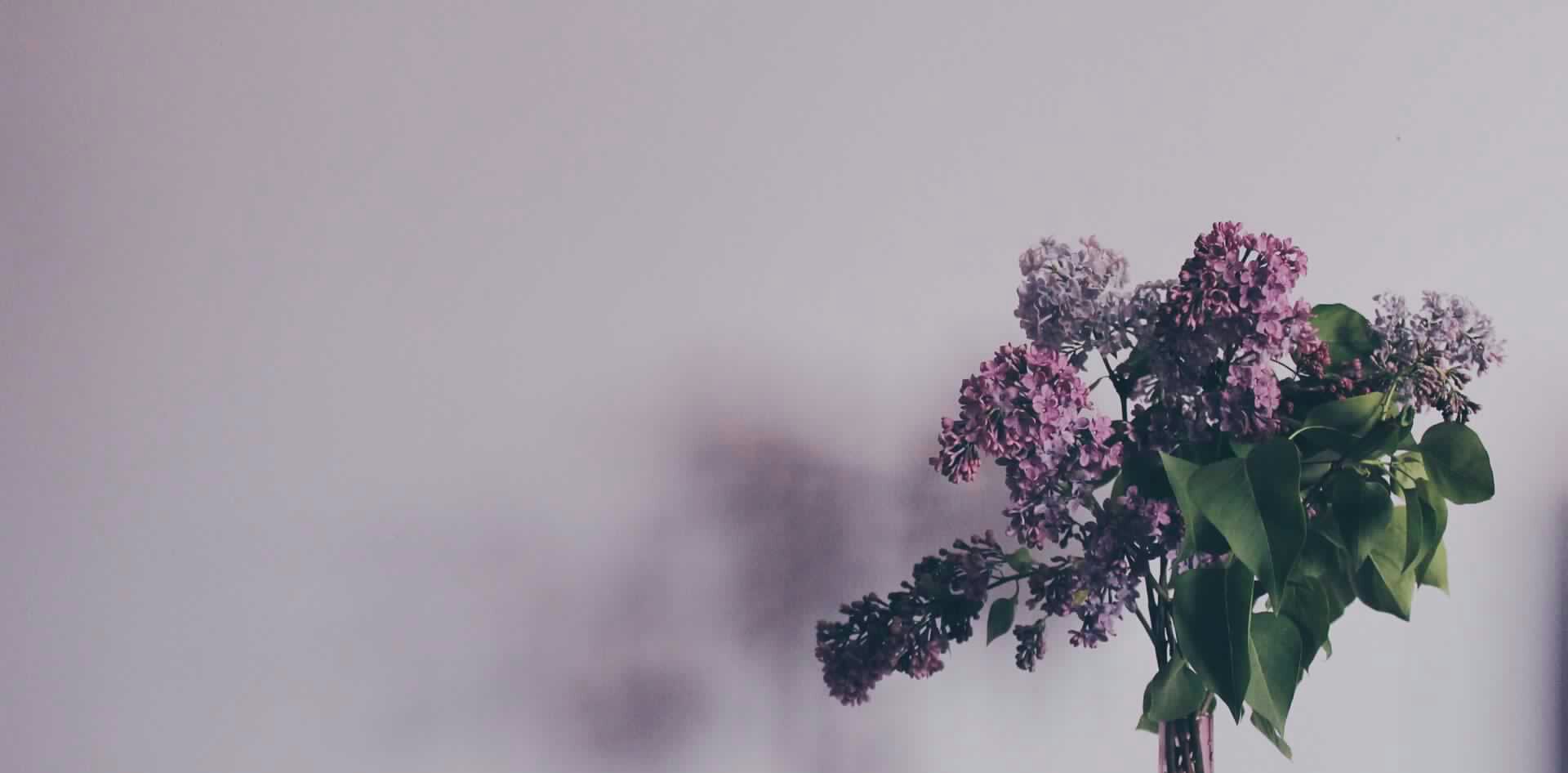 PixieDeen's profile banner image