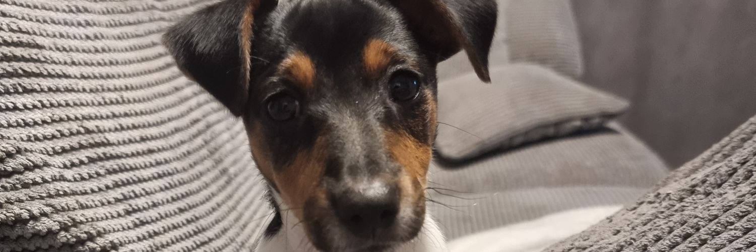 Craigo32's profile banner image