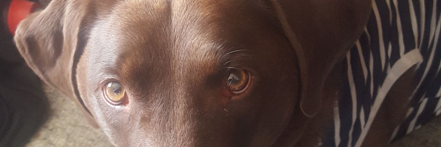 Okieoriginal's profile banner image
