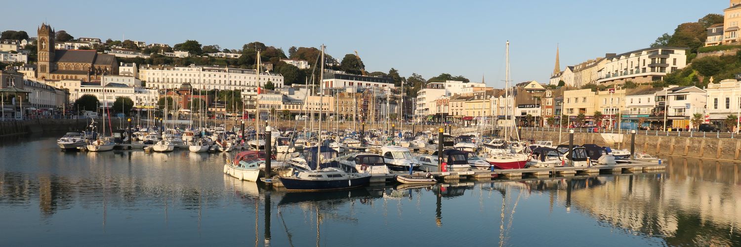 torquaymudlark's profile banner image