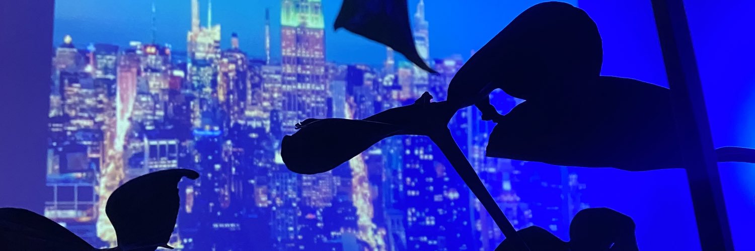 droguelabel's profile banner image