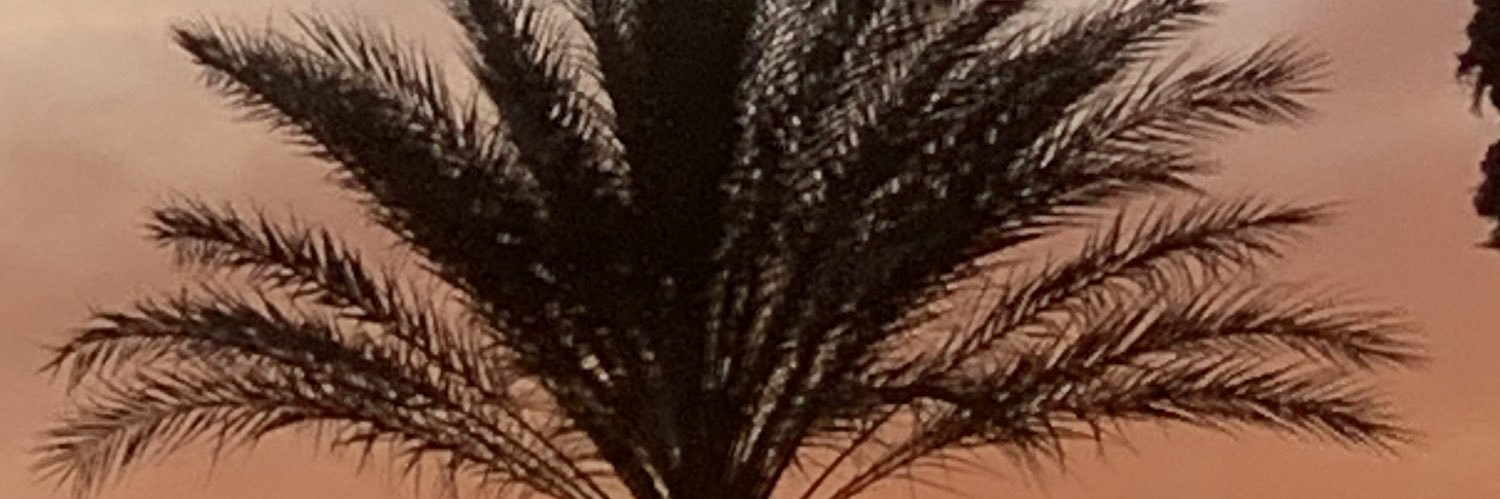 Douglas Anderson banner