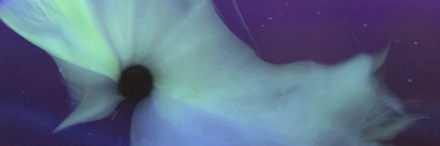 roriiris's profile banner image