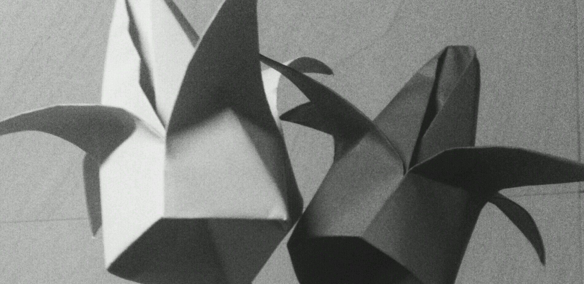 estrowberi's profile banner image
